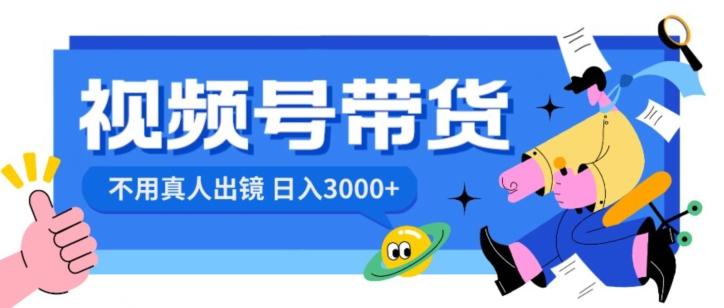 视频号带货，日入3000+，不用真人出镜-南友云赚