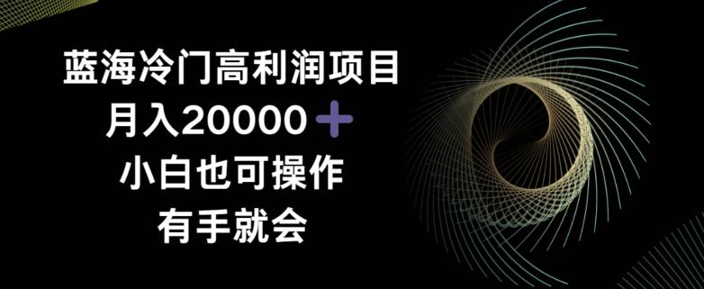 蓝海冷门高利润项目月入2000，小白也可操作有手就会-南友云赚