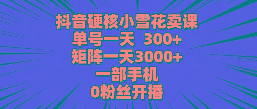 (9551期)抖音硬核小雪花卖课，单号一天300+，矩阵一天3000+，一部手机0粉丝开播-南友云赚
