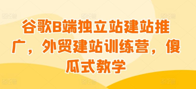 谷歌B端独立站建站推广，外贸建站训练营，傻瓜式教学-南友云赚