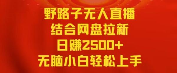 野路子无人直播结合网盘拉新，日赚2500+，小白无脑轻松上手【揭秘】-南友云赚